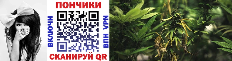 Сколько стоит Нея Гашиш  Конопля  КЕТАМИН  Мефедрон  СОЛЬ 