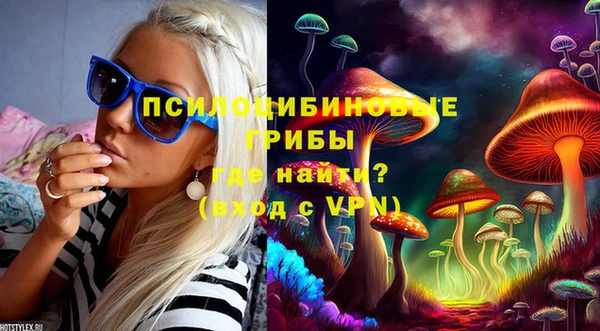 сатива Балабаново
