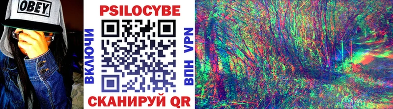 Псилоцибиновые грибы Psilocybine cubensis  наркотики  Нея 